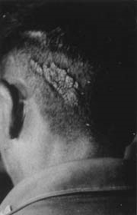 image-20250629205833423