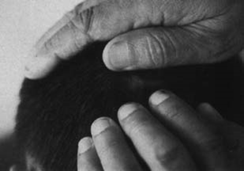 image-20250629205852581