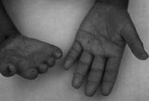 image-20250629205921668